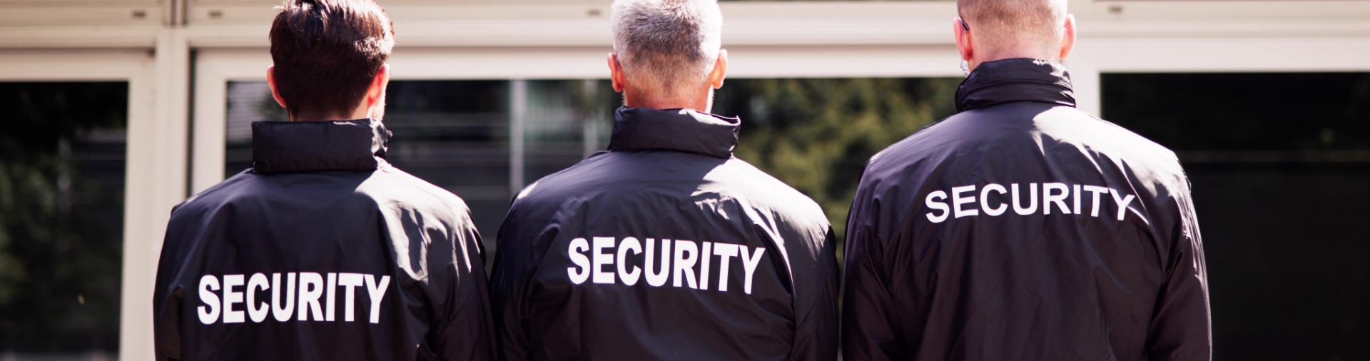 Capability Statement Banner