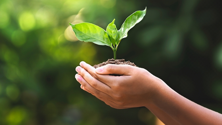 Environmental Advantage